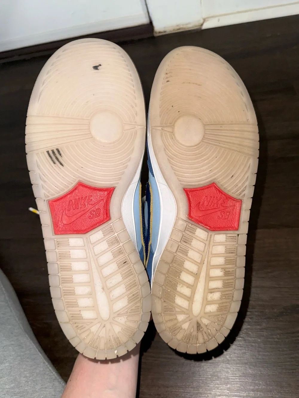 Why So Sad? × Nike Dunk Low SB 'The Predatory Bird' men’s 9.5